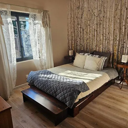 Terrace, Covered Parking, And Downtown Within Walking Distance 아파트
